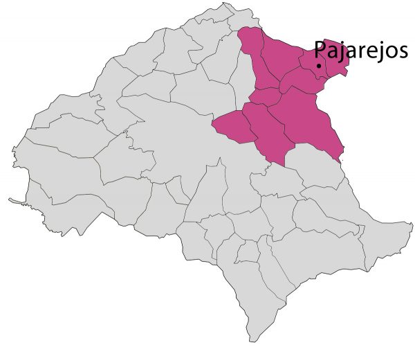 plano-Pajarejos